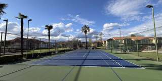 Club Pacifica Gallery 5