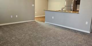 JE885 Gallery 11