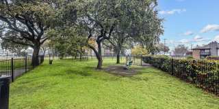 Pine Oaks Gallery 33