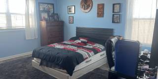 4061 Dragonfly Drive Gallery 28
