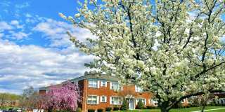79-B Jackman Drive Gallery 13