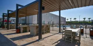 The Tree Apartments Gallery 53