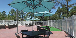 Wildewood South Gallery 14