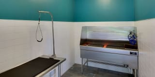 Eden Commons Gallery 20