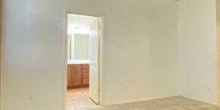 30216 N 73rd Ave Gallery 17