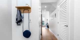 Alexan Main Street Gallery 41