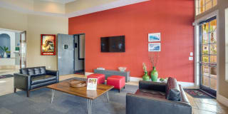 TGM Malibu Lakes Gallery 14