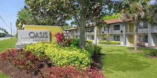 The Oasis The Oasis Gallery 1