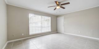Ashford Westchase Gallery 26