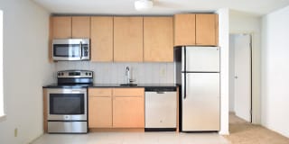 Ricardo Ricardo Gallery 3