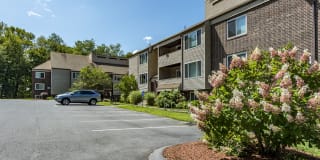 Redwood Hills Gallery 16