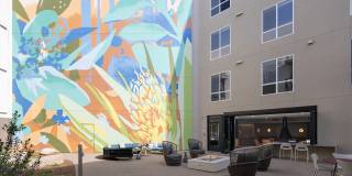 Folia Gallery 27
