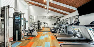 Driftwood Gallery 12