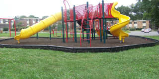 Timberline Timberline Gallery 4