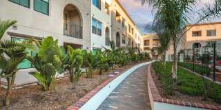 Vineyards Gallery 24