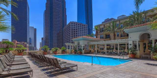 The Piero Gallery 78