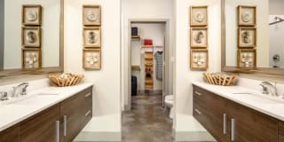Echo Gallery 13