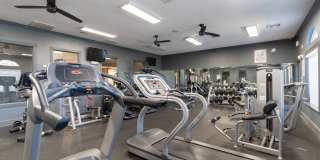 Attain on 5th Gallery 17