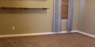 SHOWINGS AVAILABLE NOW Gallery 38