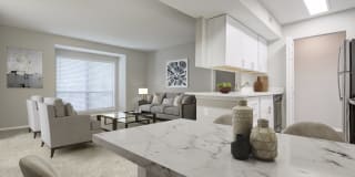 The Timbers The Timbers Gallery 2