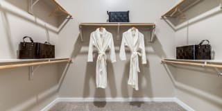 Zenith Gallery 20