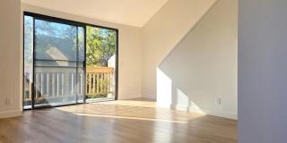 501 Orange Blossom Gallery 3