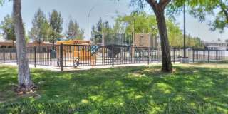 Beautiful Three Bedroom, Curb Appeal Home! Gallery 25