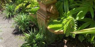 40 Almeria Ave Gallery 8