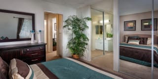 Terra Vista Apartments Gallery 4