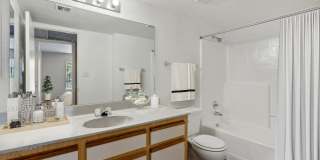 Twin Palms Gallery 46