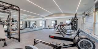 Spice Tree Gallery 16