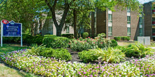 Woodland Landing Gallery 9