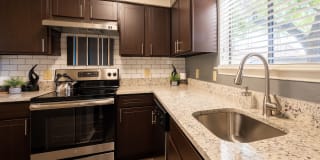 Canopy on Central Gallery 20