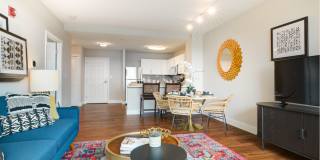 Halstead Burlington Gallery 24