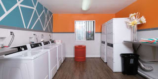 Fifteen 50 Gallery 21