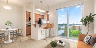 Apex Apartments Apex Apartments Gallery 1