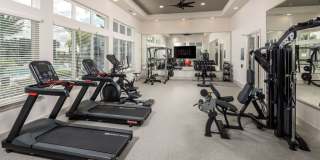 Holly Grove Gallery 6