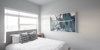 The Carlton at Dawley Gallery 4