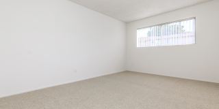 San Carlos & San Juan Apartment Homes Gallery 40