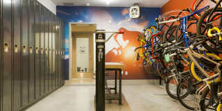 Alloy Sunnyside Gallery 51