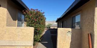 3185 Gallery 5