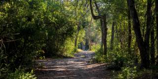 Asher Towne Lake Gallery 30