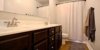772 Sun Road Gallery 25