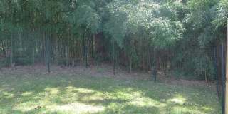 346 Wesley Drive Gallery 23