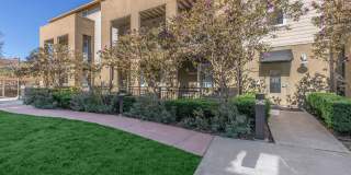 The Village at Town Center Gallery 16