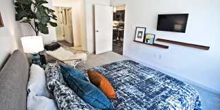 Centric Centric Gallery 16