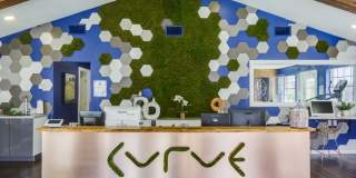 The Curve Gallery 119