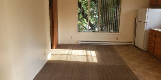 24214t Gallery 9