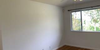 Crowne at Wailuna - 3 Bedroom, 3 Bath Home on Perimeter Lot - Available Now! Gallery 21