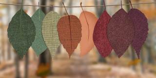 Fox Ridge Apartments Gallery 42